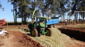  Patrulha Agrícola e o fortalecimento da agricultura familiar em Cruz Alta 
