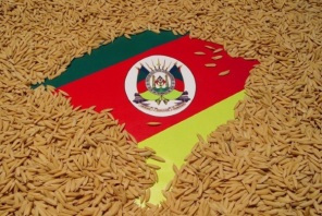 AGRO> Safra gaúcha de arroz é suficiente para abastecer mercado brasileiro