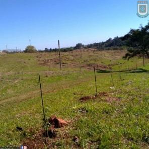 EASA realiza plantio de 300 mudas de árvores nativas