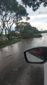 Chuva rápida com rajadas de 74km/h causa transtornos em Cruz Alta