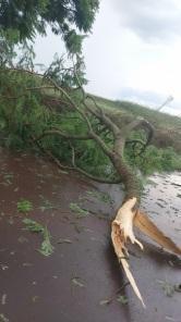 Chuva rápida com rajadas de 74km/h causa transtornos em Cruz Alta