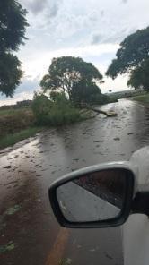 Chuva rápida com rajadas de 74km/h causa transtornos em Cruz Alta
