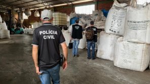 Com apoio da DECRAB Cruz Alta, RS apreende 384 toneladas de sementes ilegais