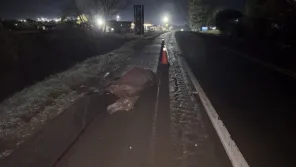 MAIS UM COM CAVALO>Acidente na BR-158 envolve carro e cavalo em Cruz Alta