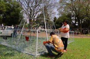 Decorações de Natal começam a ser instaladas em Cruz Alta