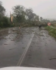 SUSTO E ESTRAGOS> Temporal bloqueia BR-158 ,destelha casas e tomba caminhão 