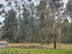 MICROEXPLOSÕES E FRENTE FRIA> A combinação que causou estragos em Cruz Alta