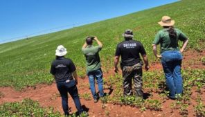 Santa Bárbara do Sul:DECRAB e SEAPI realizam fiscalização em propriedade rural