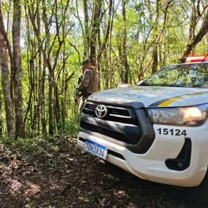 Polícia Ambiental reforça fiscalização contra crimes ambientais em Cruz Alta