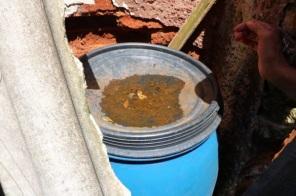 Prevenção é a melhor forma de combater a multiplicação do Aedes aegypti