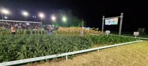 11º Edição da Noite de Campo da Sementes Aurora foi um grande sucesso