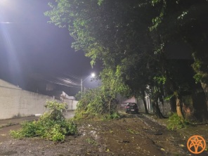 PALMEIRA DAS MISSÕES> 150 Casas foram destelhadas no temporal da quarta