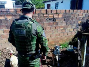 Cão é resgatado em situação de maus-tratos em Cruz Alta