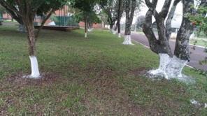 Parque de Exposições está sendo revitalizado e ganha melhorias