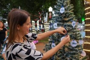 Programação de Natal começa com a montagem do 3º Caminho das árvores