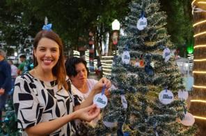 Programação de Natal começa com a montagem do 3º Caminho das árvores