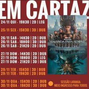 Pantera Negra : Wakanda para sempre é atração no cinema em Cruz Alta