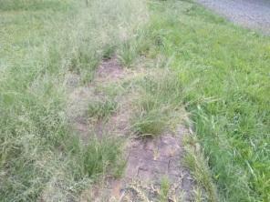 Caminhodrómo da Estação Rodoviária precisa urgente de anutenção