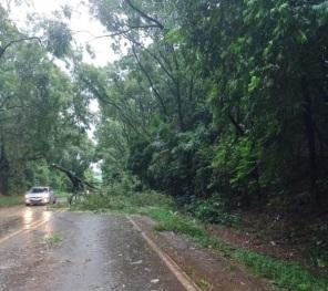 Chuva veio com  rajadas de 102km/h em Cruz Alta e alguns transtornos