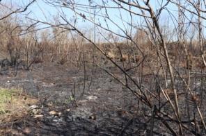 Incêndio no CICA se estende durante todo o dia