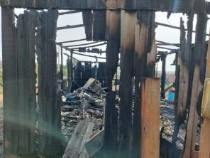 Número de cachorros que morreram queimados sobe para 21