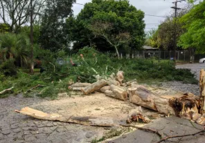 Temporal deixa mais de 200 residências danificadas em Panambi