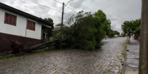 Temporal deixa mais de 200 residências danificadas em Panambi