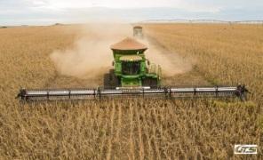 Abertura da Colheita do Trigo contara com inovações do mercado agrícola