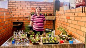 HOJE TEM> Feira do Produtor de Cruz Alta está pronta para o Natal