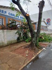 SEXTA SANTA: Forte Temporal derruba árvores e assusta moradores de Cruz Alta 