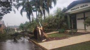 SEXTA SANTA: Forte Temporal derruba árvores e assusta moradores de Cruz Alta 