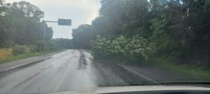 SEXTA SANTA: Forte Temporal derruba árvores e assusta moradores de Cruz Alta 