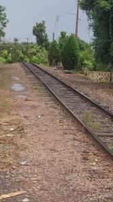 SEXTA SANTA: Forte Temporal derruba árvores e assusta moradores de Cruz Alta 