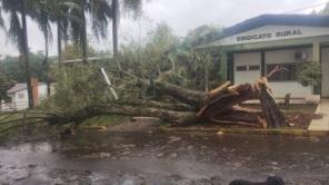 SEXTA SANTA: Forte Temporal derruba árvores e assusta moradores de Cruz Alta 