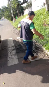 Defesa Civil de Cruz Alta Intensifica Retirada de Emaranhados de Fios 