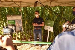 C.Vale realiza primeiro Dia de Campo Digital sobre Milho Safrinha