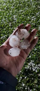 TEMPORAL DA TERÇA> Ventos de 80,5 Km/h, granizo e estragos em Cruz Alta