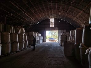 Cruz Alta é alvo da Operação Semente Segura II contra sementes piratas