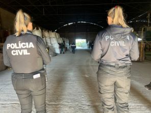 Cruz Alta é alvo da Operação Semente Segura II contra sementes piratas