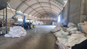 Cruz Alta é alvo da Operação Semente Segura II contra sementes piratas