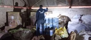 Cruz Alta é alvo da Operação Semente Segura II contra sementes piratas