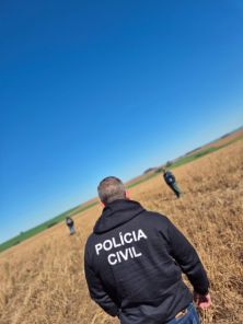 Cruz Alta é alvo da Operação Semente Segura II contra sementes piratas