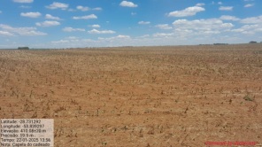 Boa Vista do Cadeado decreta situação de emergência devido à estiagem