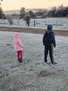 FRIO INTENSO> Julho começa com sol e temperaturas negativas em Cruz Alta