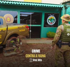 Brigada Militar apreende aves silvestres mantidas em cativeiro em Cruz Alta
