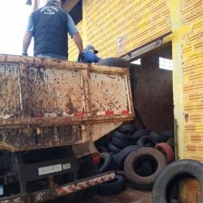 Dengue: Depósito de pneus é um dos grandes problemas no combate em Cruz Alta