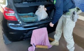 Polícia Rodoviária Federal prende casal com 100 kg maconha em Ijuí